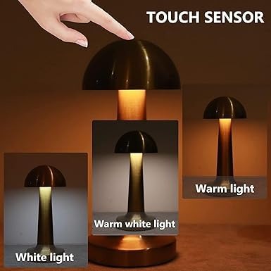 Portable Touch Control Dimmable 3 Light Color Table Lamp